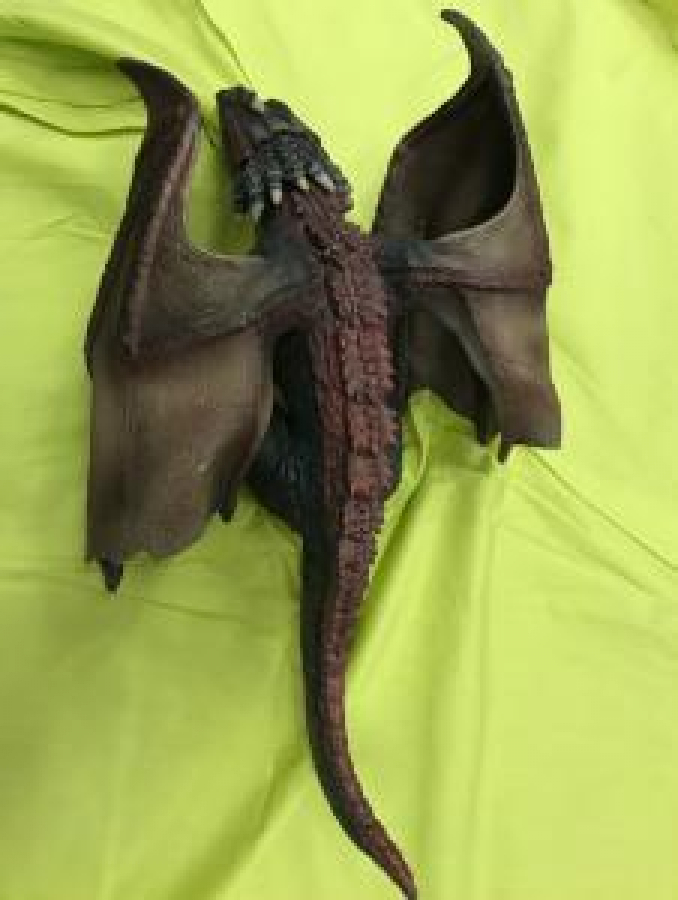 thumbDAENERYS TARGARYEN GAME OF THRONES DRAGONS EJDERHASI