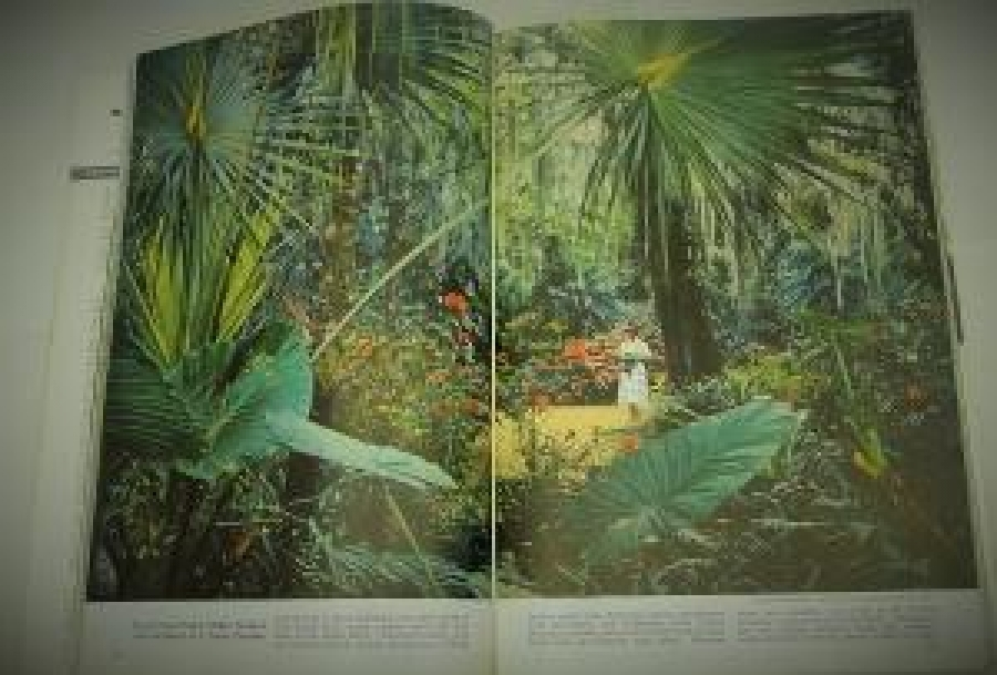 thumbTHE NATIONAL GEOGRAPHIC MAGAZINE JANUARY 1958 YILI AMERİKAN BASKI DERGİ