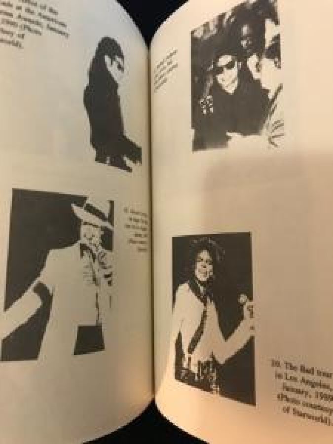 thumbMICHAEL JACKSON THE KİNG OF POP LİSA D. CAMPBELL BRANDEN BOOKS BOSTON