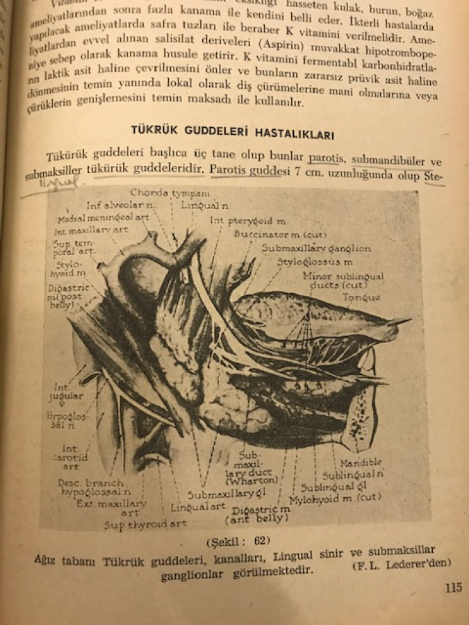 thumbKULAK BURUN BOGAZ HASTALIKLARI EL KİTABI 1967 İSTANBUL TIP FAKULTESİ ÜNİVERSİTESİ